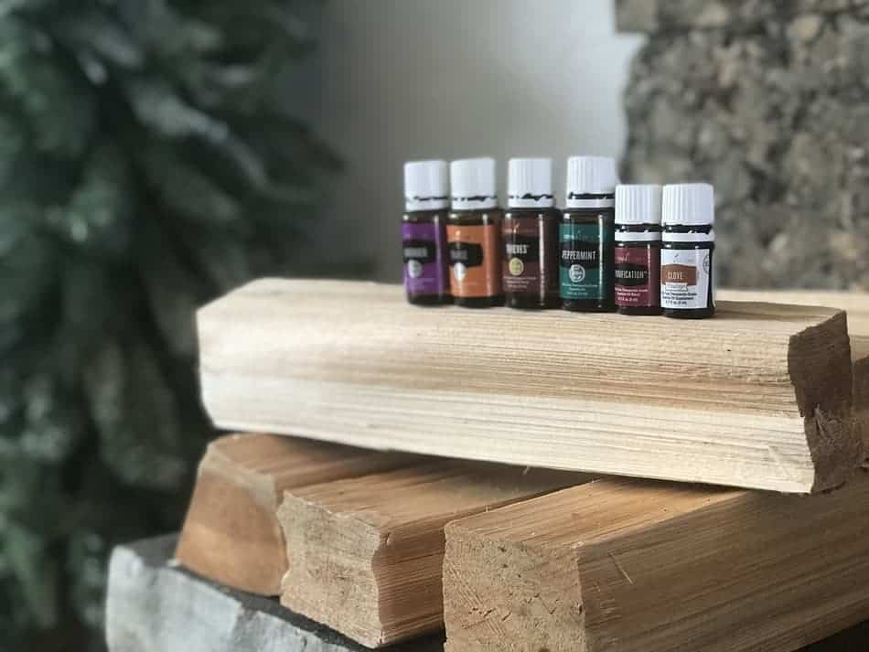 Top 4 Essential Oil Combos To Diffuse This Fall 'wild and three website'
