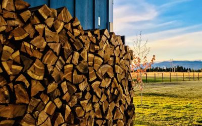 Cutting Firewood: Fun For The Whole Family?