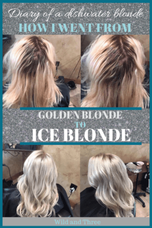 Golden blonde to Ice blond hair